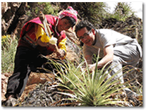 Andean rural tourism handicrafts workshop with Achupalla