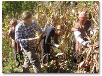 Andean rural tourism agricultural workshop